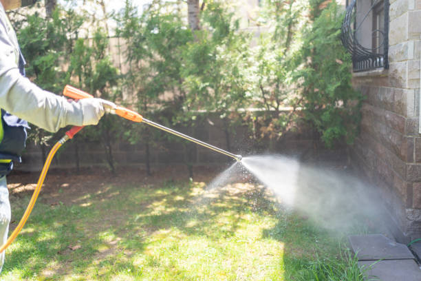 Best Organic or Eco-Friendly Pest Control  in Ladue, MO